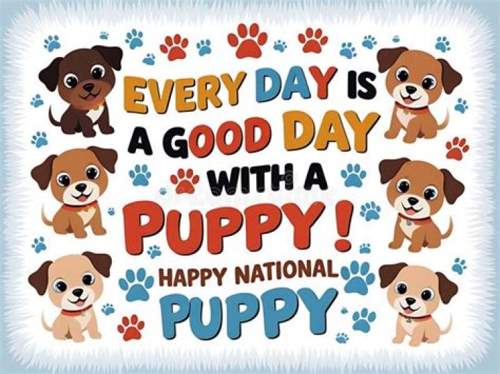 9 National Puppy Day Memes and Tweets That Will Improve Any Ruff Day