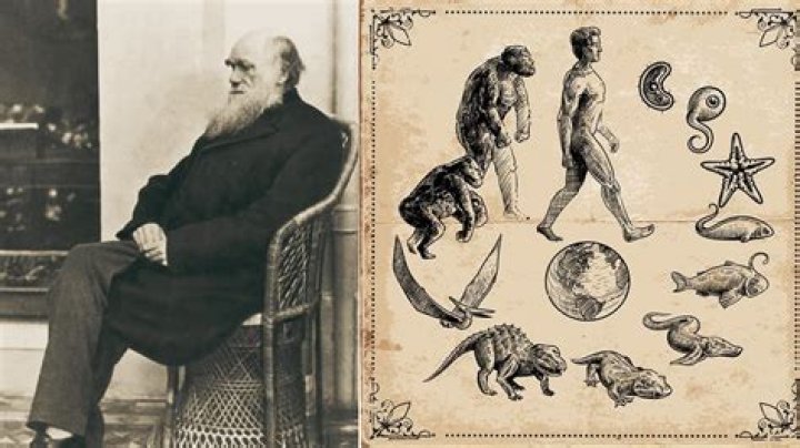 Charles Darwin Net Worth – How Much Was Charles Darwin Worth?