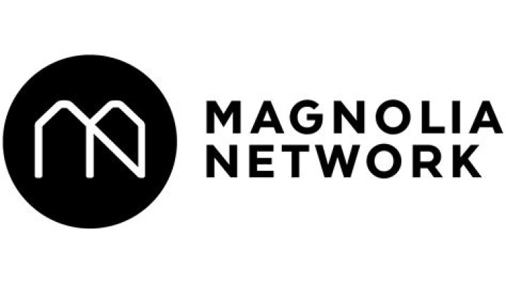 Chip Gaines — What Preceded the Magnolia Cable Network?