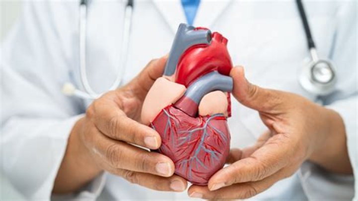 "Desde El Corazon" | Buy, Play and Listen