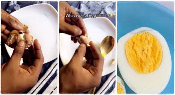 "Double Blessing": Man Peels Boiled Egg, Discovers Another One Inside, Posts Stunning Clip on TikTok
