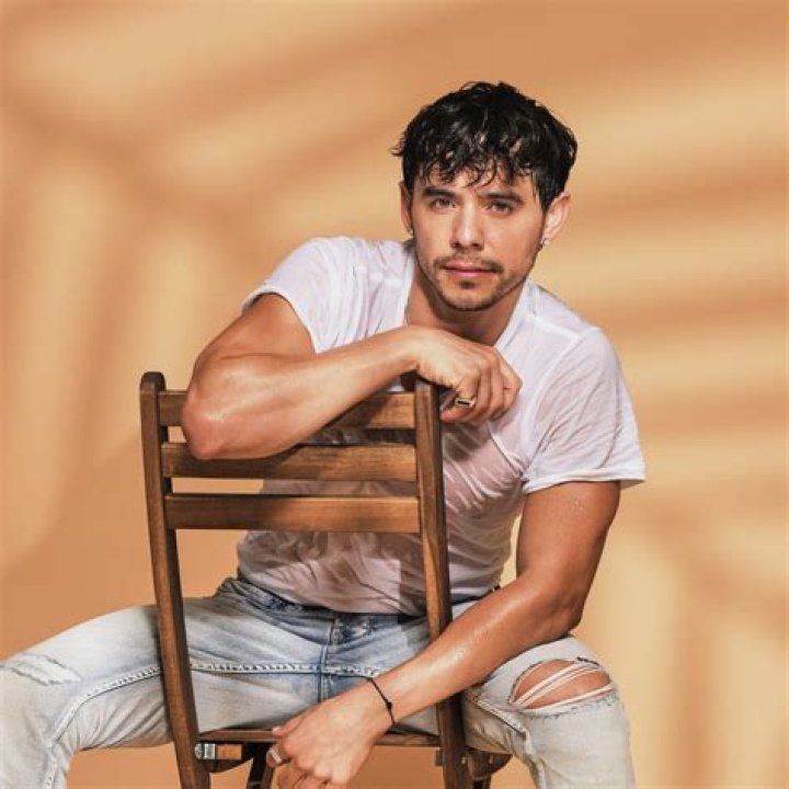 Is David Archuleta Gay? Partner And Relationship