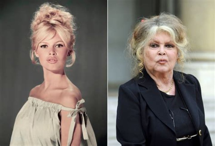 Is Pamela Bardot Related To Brigitte Bardot? Family