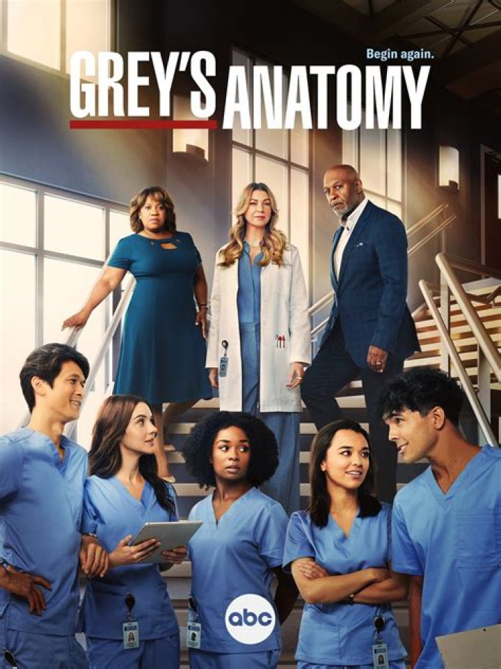 Jesse Williams Will Appear on 'Grey’s Anatomy' in Season 19 — Is He Back for Good?