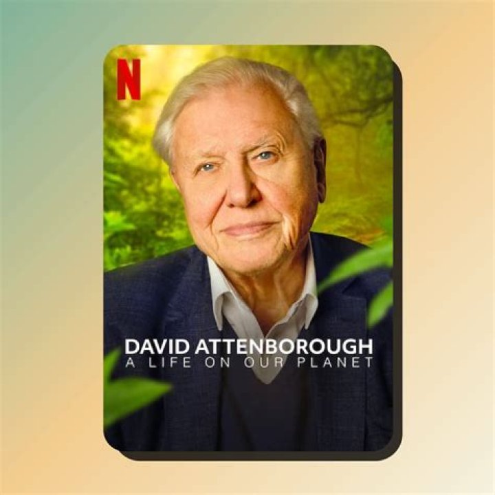 Laurie David Bio, Wiki, Age, Husband, Documentary, Climate Change, And Net Worth