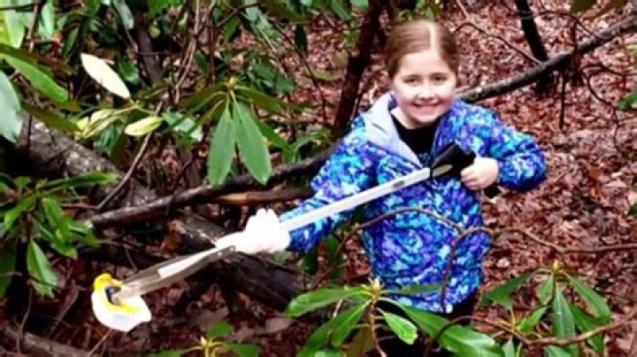 Lori Wachs Bio, Wiki, Age, Ali Velshi, Daughter, Brother, Bryn Mawr, and Net Worth