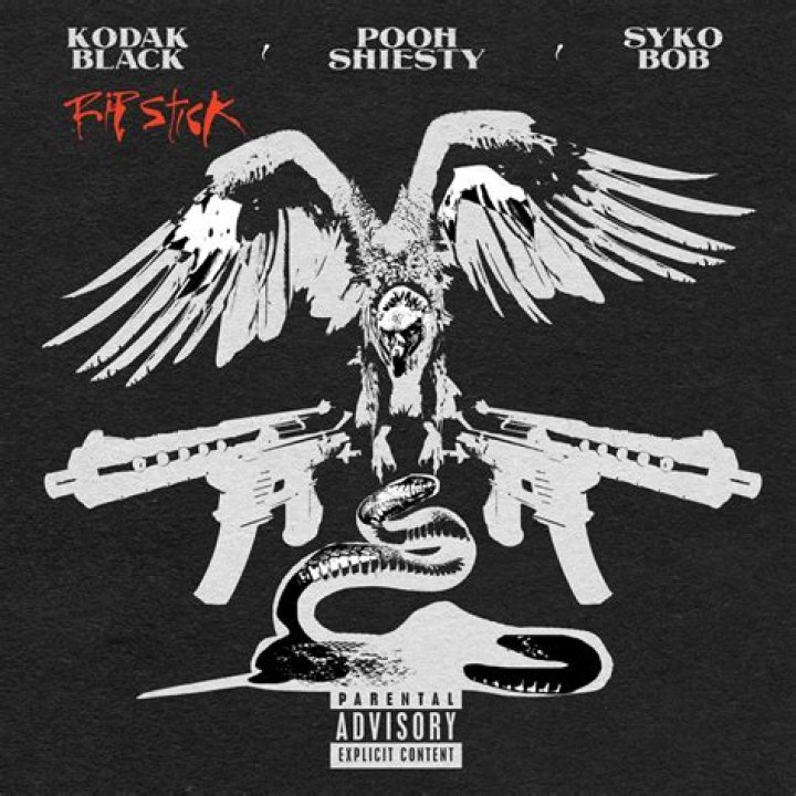 Lyrics & Translations of Rip Stick by Kodak Black & Pooh Shiesty