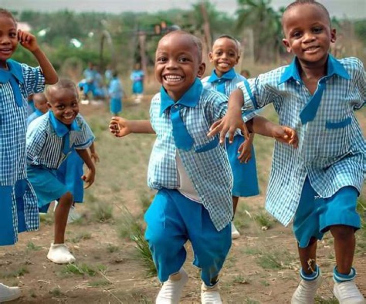 Problems facing early childhood education in Nigeria and potential solutions