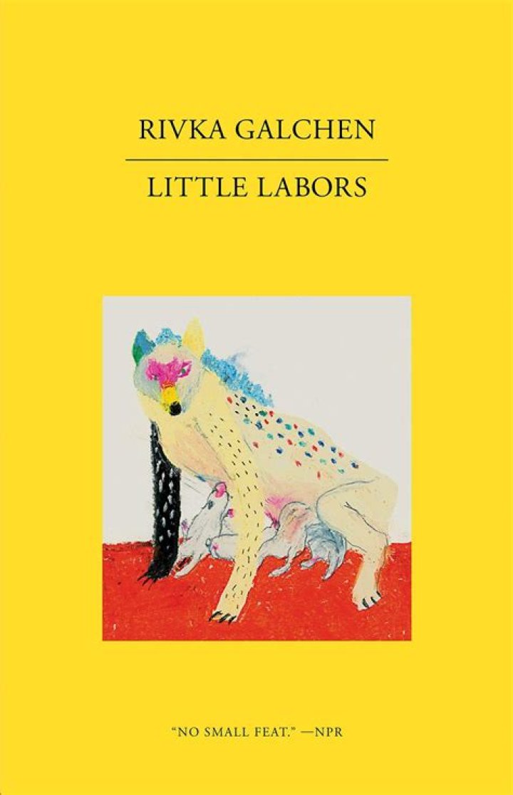 Rivka Galchen New Yorker, Little Labors, Atmospheric Disturbances, American Innovations, and Books