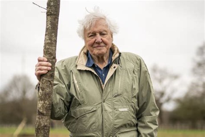Sir David Attenborough