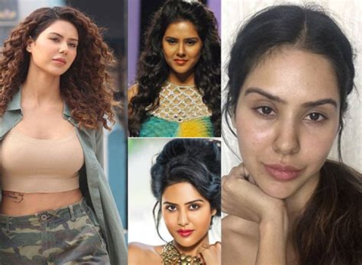 Sonam Bajwa Plastic Surgery: Before And After Photos