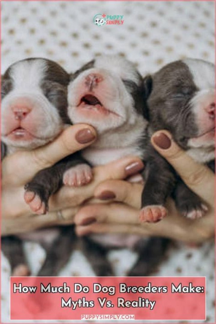 The Breeders Net Worth - How Much Does The Breeders Make?