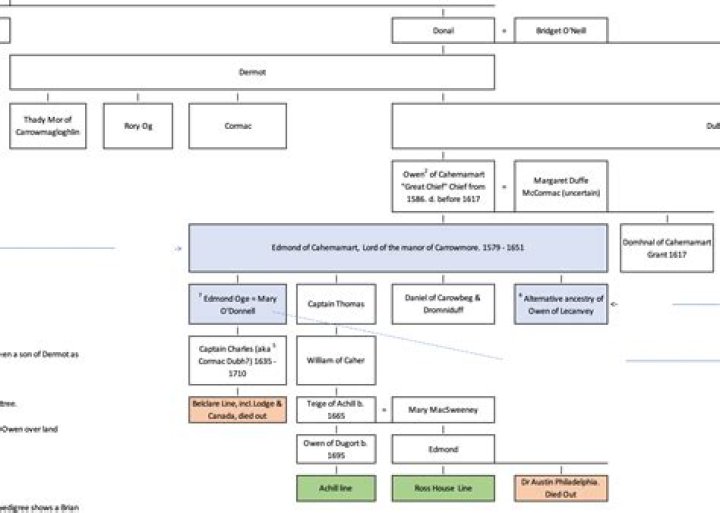 Trump Lawyer Jim Trusty Wife Laura O'Malley: Family Tree